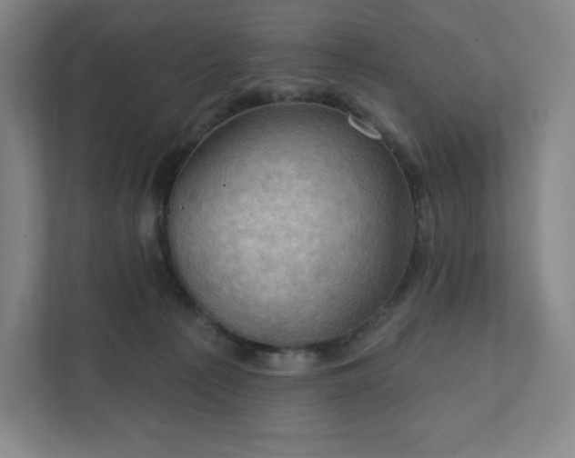 X0000111940225200908031144