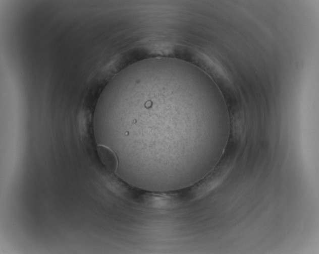 X0000111940229200908031144