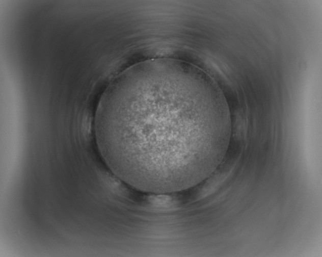 X0000111940230200908031144