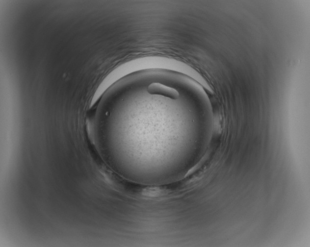 X0000111940231200908031144