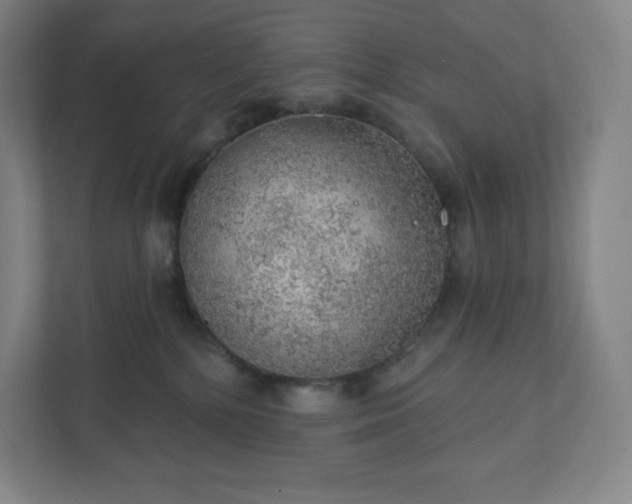 X0000111940232200908031144