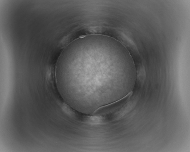 X0000111940233200908031144