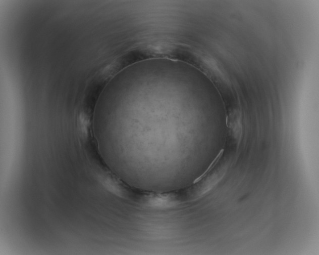 X0000111940235200908031144