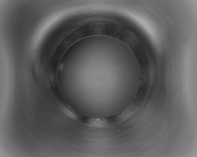 X0000111940239200908031144