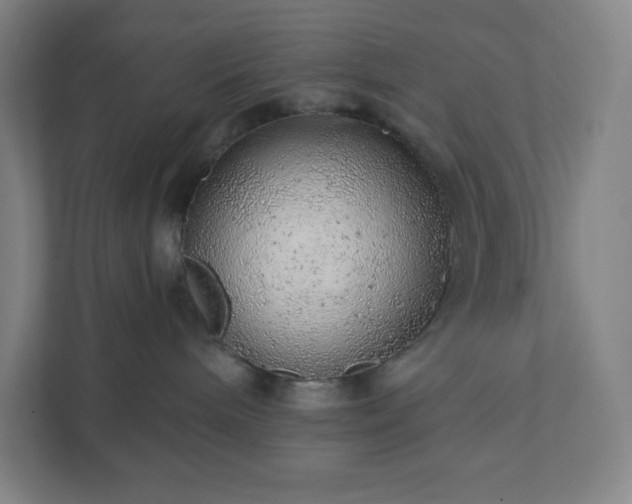 X0000111940240200908031144