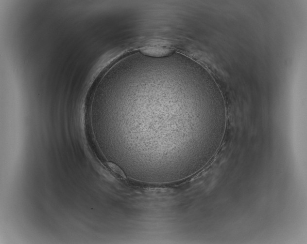 X0000111940242200908031143