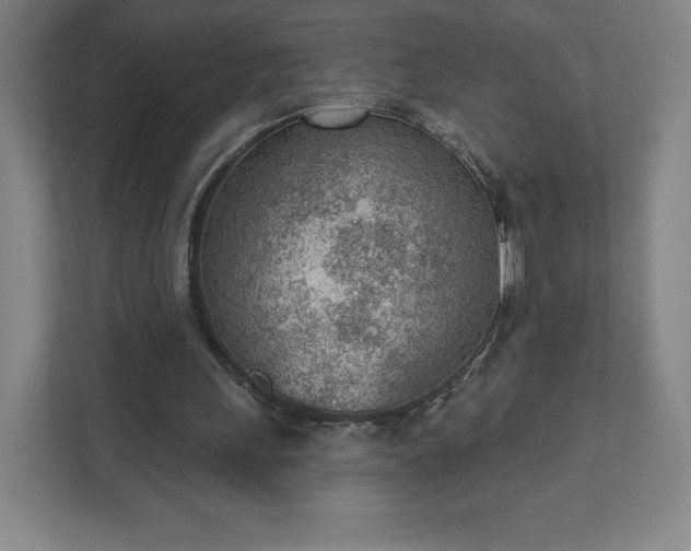 X0000111940243200908031144