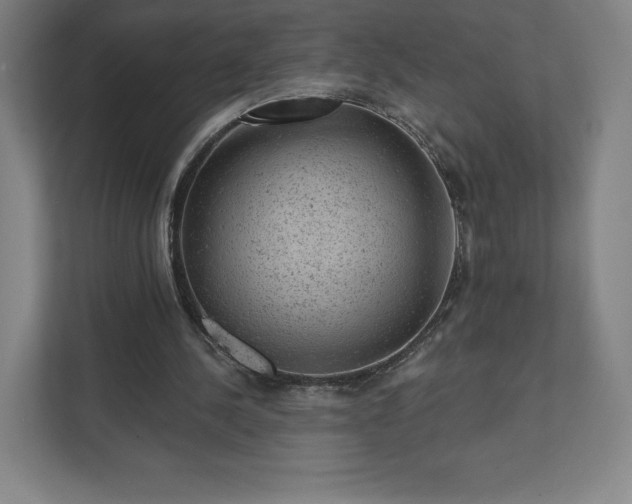 X0000111940244200908031144