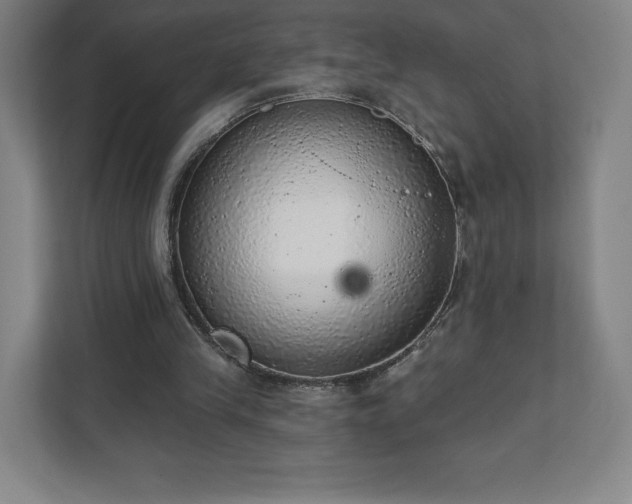 X0000111940245200908031144