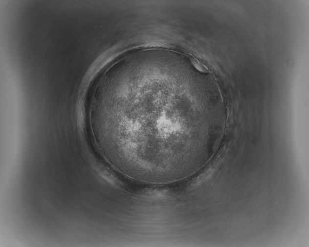 X0000111940247200908031144