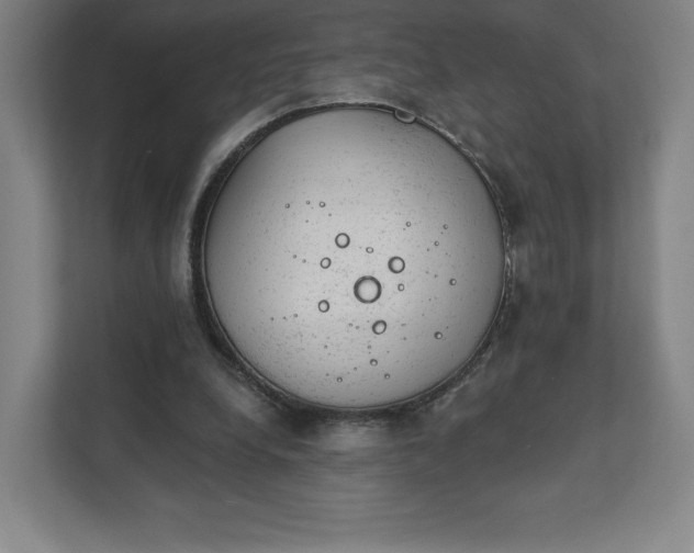 X0000111940248200908031144