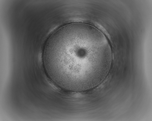 X0000111940249200908031144