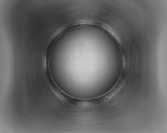 X0000111940253200908031144