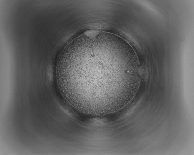 X0000111940255200908031144