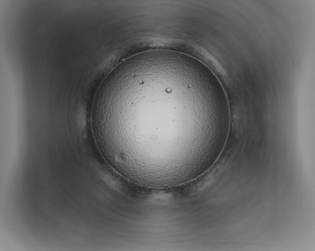 X0000111940257200908031144