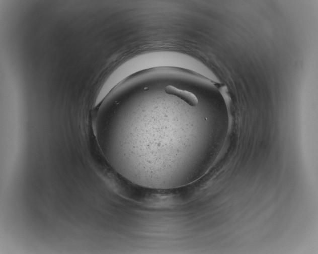 X0000111940260200908031144