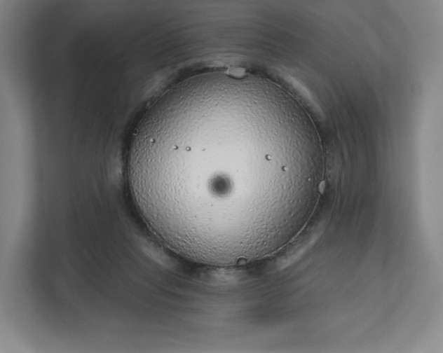 X0000111940261200908031144