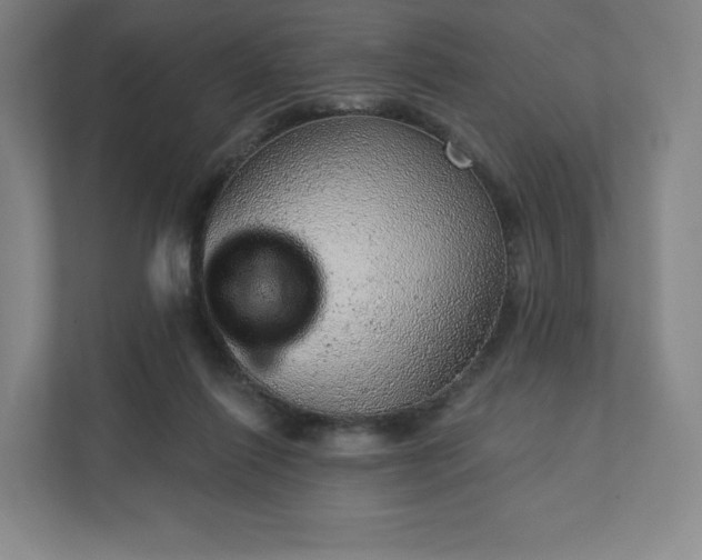 X0000111940262200908031144