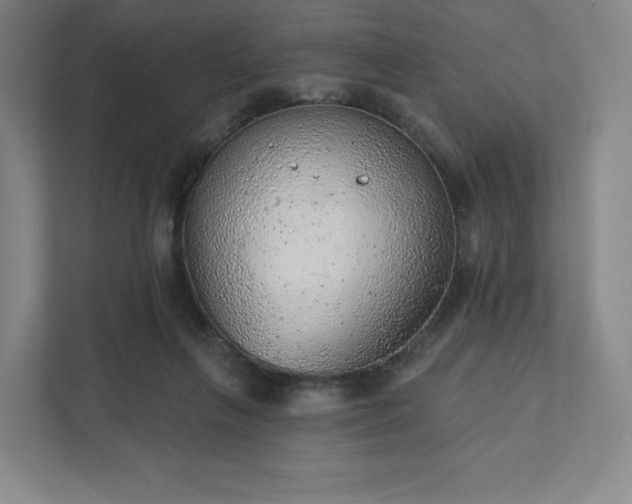 X0000111940263200908031144