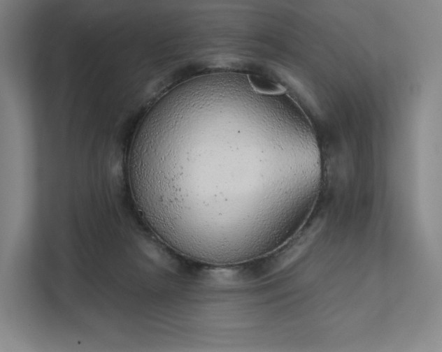 X0000111940265200908031144