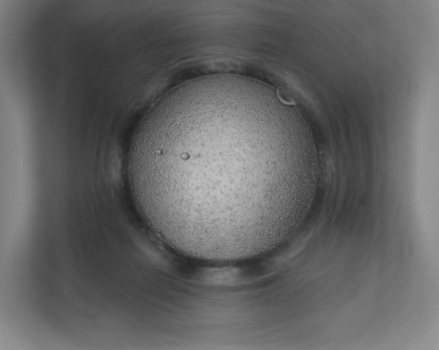 X0000111940266200908031144