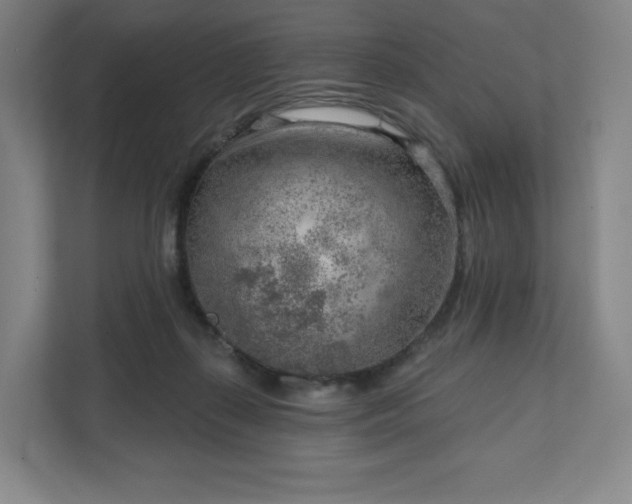 X0000111940267200908031144