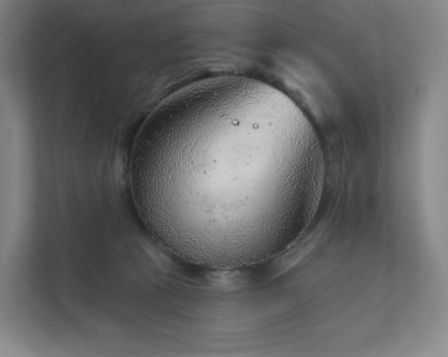 X0000111940273200908031144