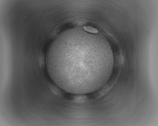 X0000111940274200908031144