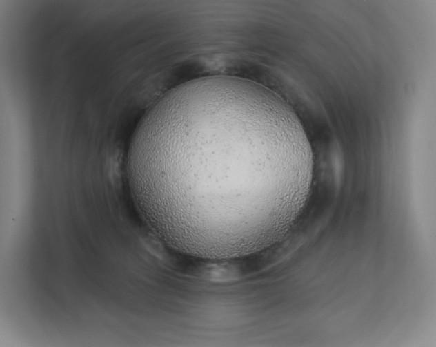 X0000111940275200908031144