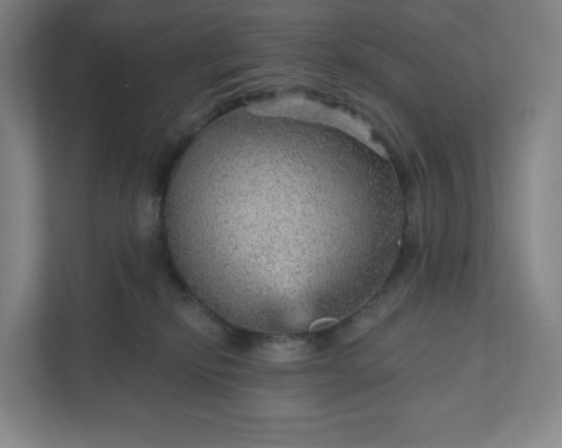 X0000111940278200908031144