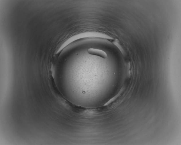 X0000111940280200908031144