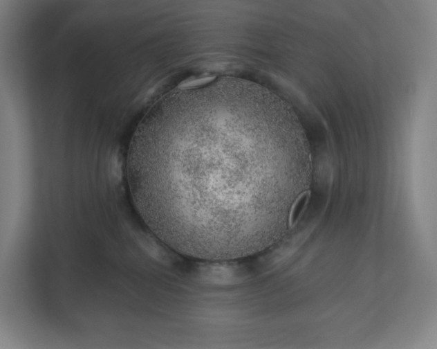 X0000111940282200908031144