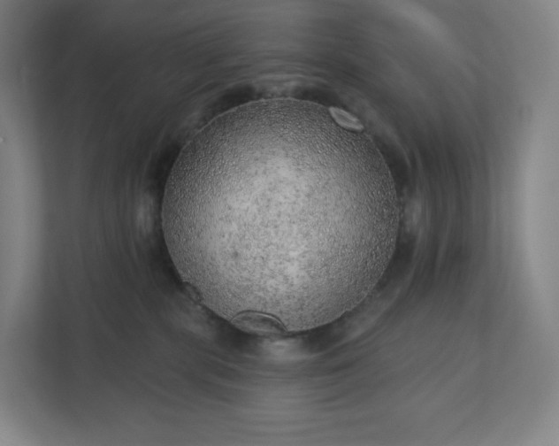 X0000111940283200908031144