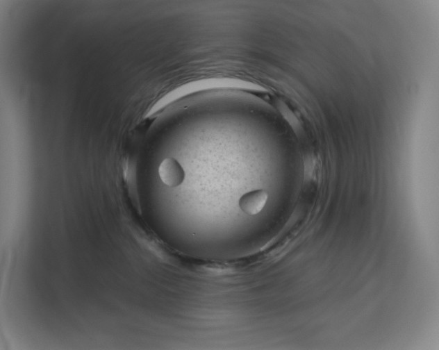 X0000111940284200908031144