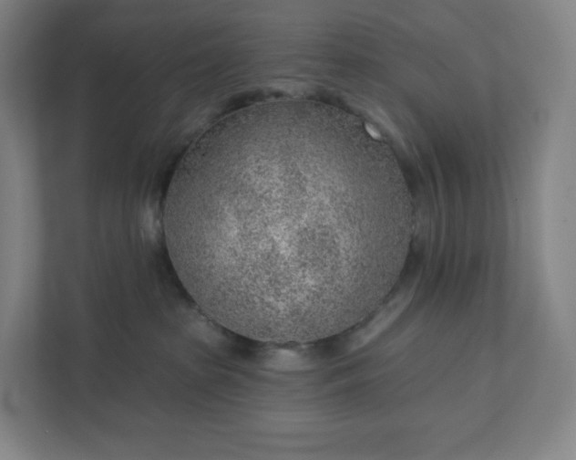 X0000111940285200908031144