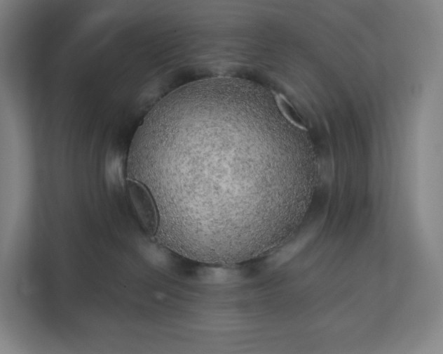 X0000111940286200908031144