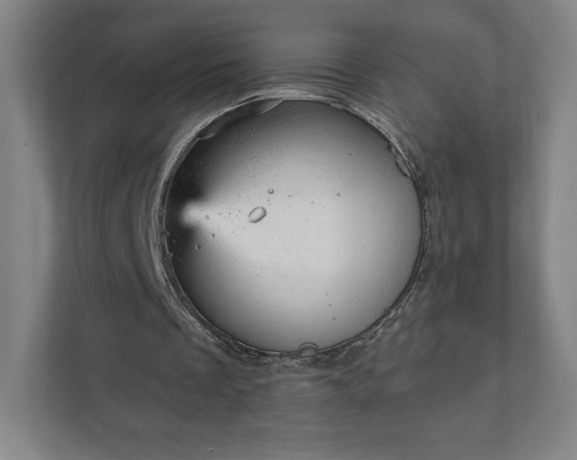 X0000111940289200908031143