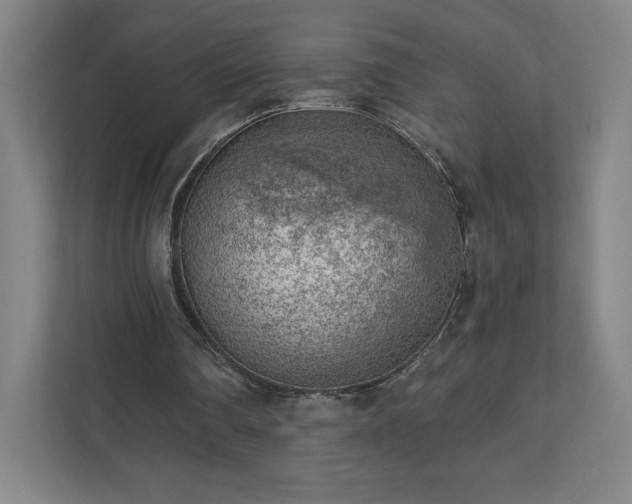 X0000111940290200908031143