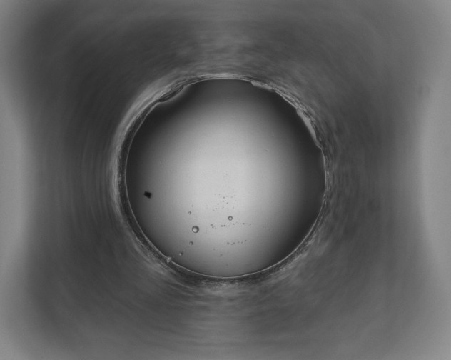 X0000111940293200908031143