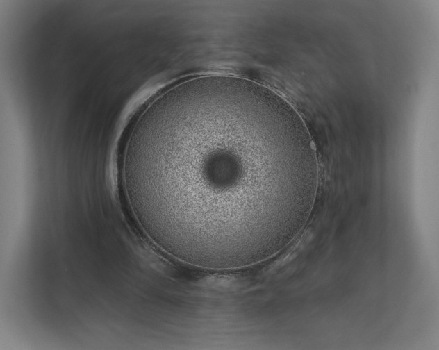 X0000111940294200908031143