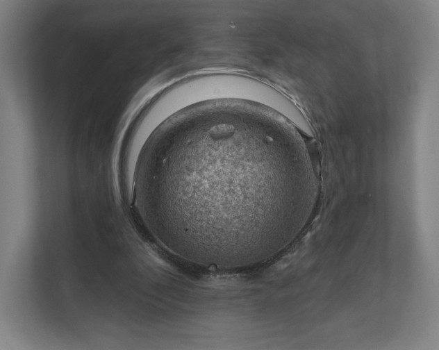 X0000111940296200908031143