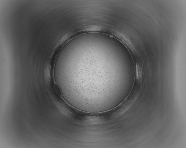 X0000111940300200908031143