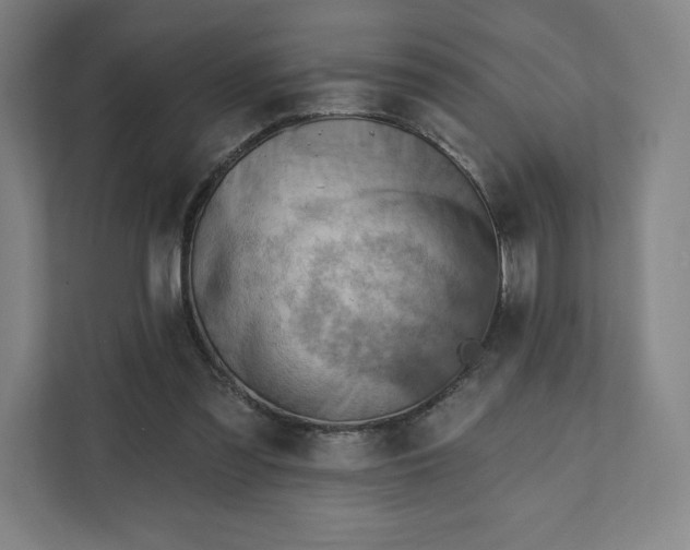 X0000111940301200908031143