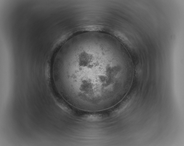 X0000111940303200908031143