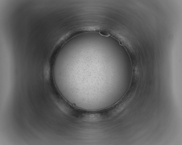 X0000111940304200908031143