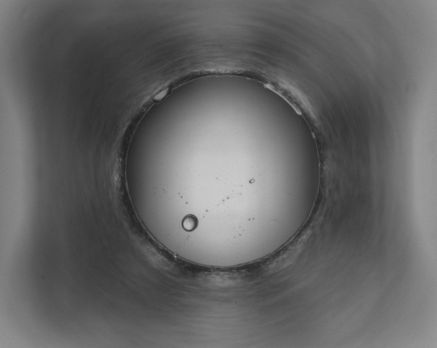 X0000111940305200908031143