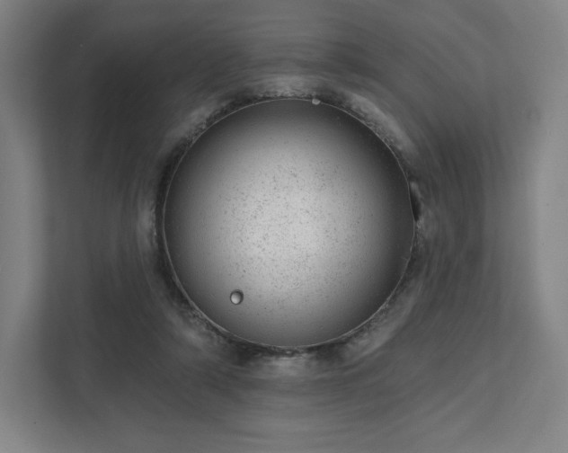 X0000111940306200908031143