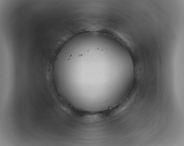 X0000111940307200908031143