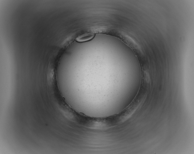 X0000111940308200908031143