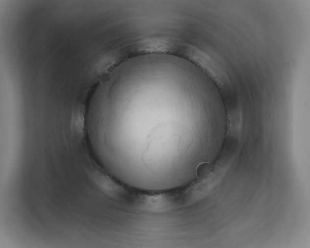 X0000111940309200908031143